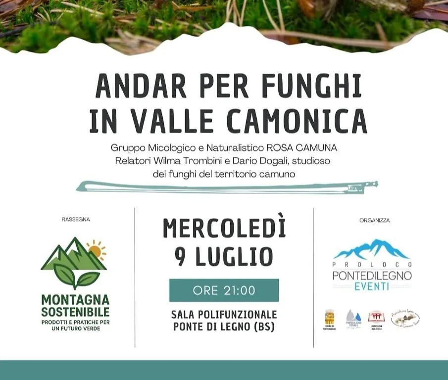 Adamello Peak Two Apartment Temù